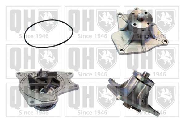 Pompe à eau, refroidissement du moteur QUINTON HAZELL QCP3447