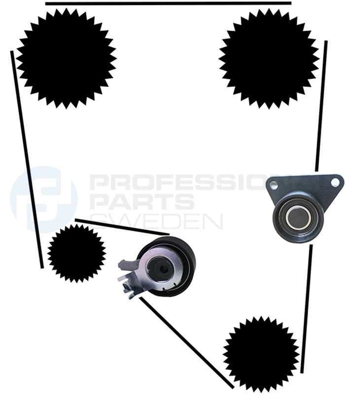 Kit de courroie crantée Professional Parts 21430015