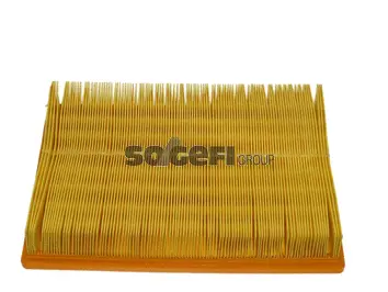 Filtre à air FRAM CA10049