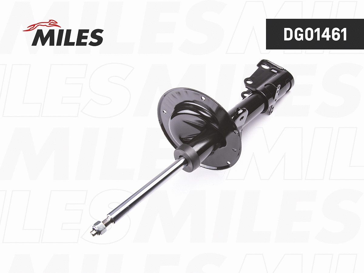 Amortisseur MILES DG01461