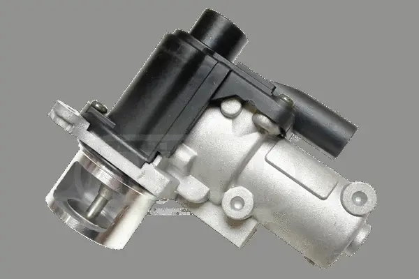 Vanne EGR DÜRER VR81151
