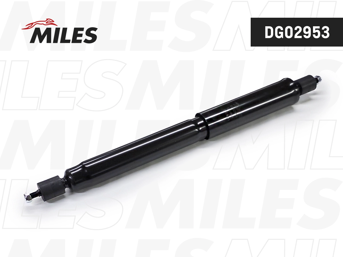 Amortisseur MILES DG02953