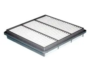 Filtre à air ACDelco Oceania ACA98