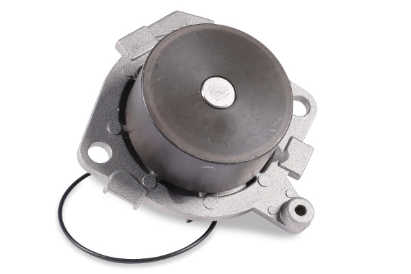 Pompe à eau, refroidissement du moteur GK 985287