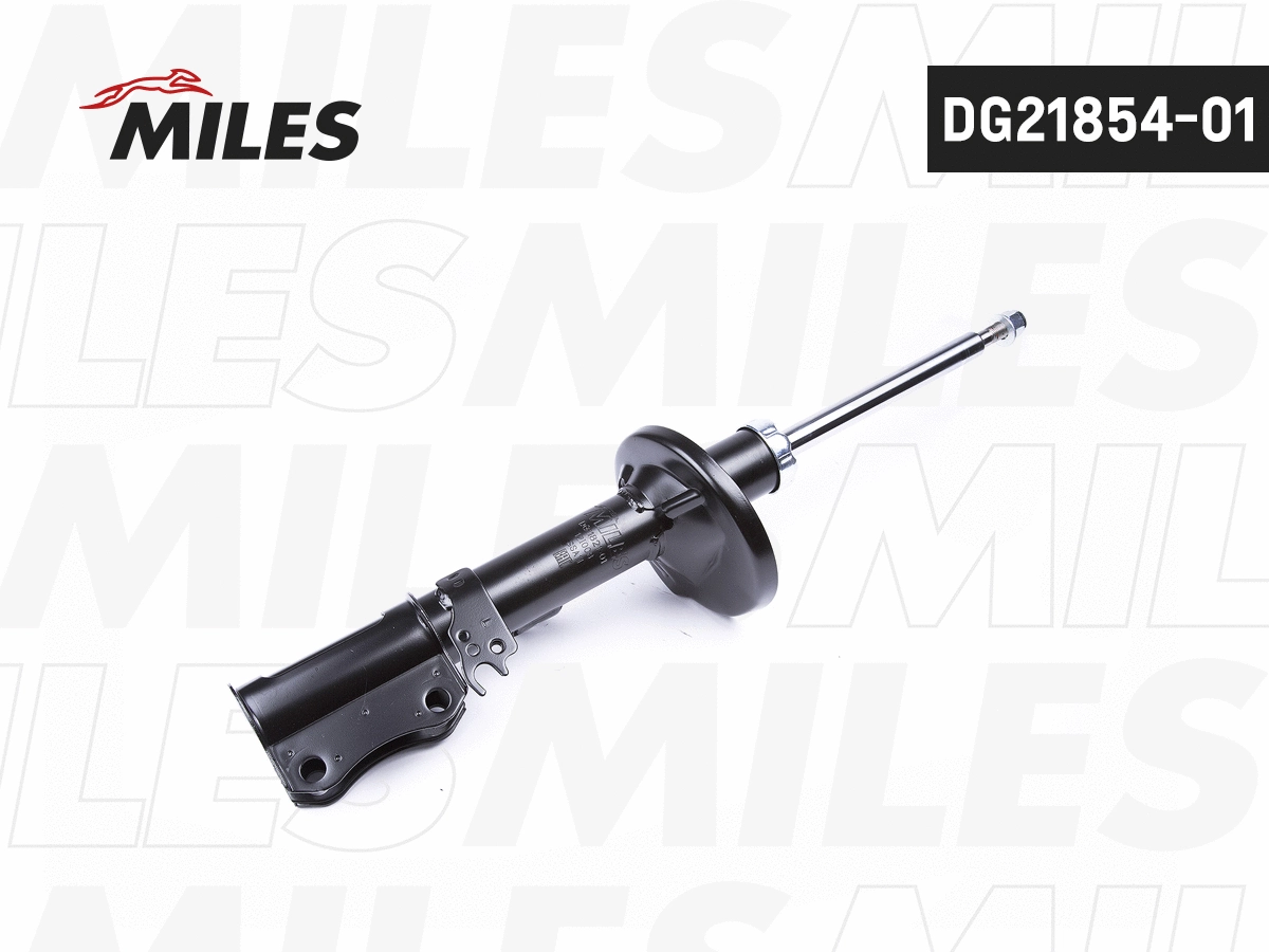 Amortisseur MILES DG21854-01