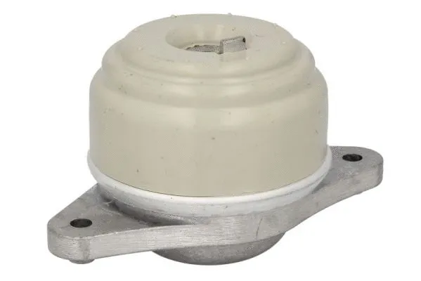 Support moteur REINHOCH RH11-3098