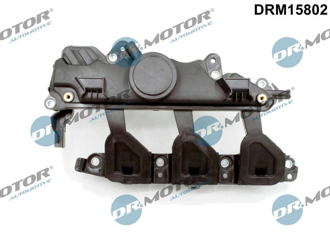 Module de tube d'admission Dr.Motor Automotive DRM15802