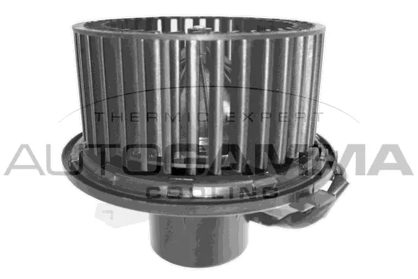 Pulseur d'air habitacle AUTOGAMMA GA31306