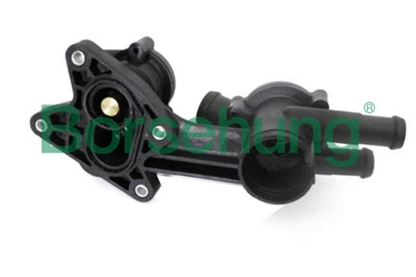 Thermostat, liquide de refroidissement Borsehung B18251