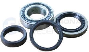 Kit de roulements de roue Professional Parts 77433872