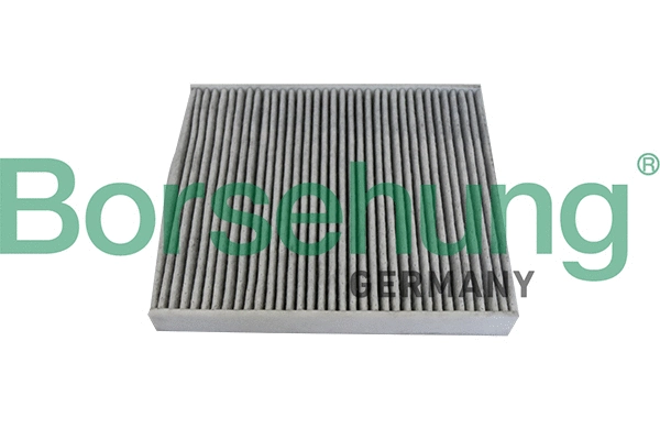 Filtre, air de l'habitacle Borsehung B10534