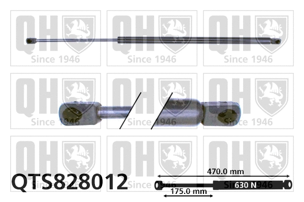 Vérin de hayon, de coffre QUINTON HAZELL QTS828012