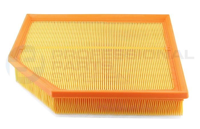 Filtre à air Professional Parts 24430089