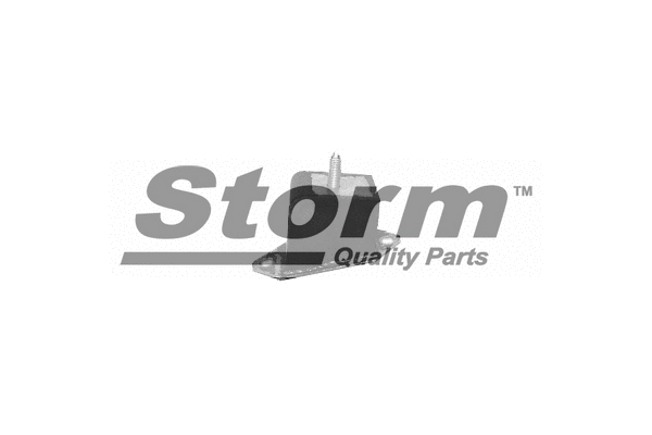 Support moteur STORM QUALITY PARTS F0387