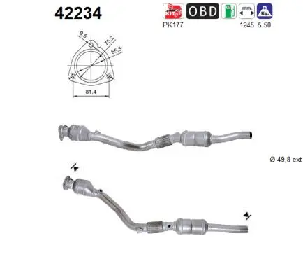 Catalyseur AS 42234