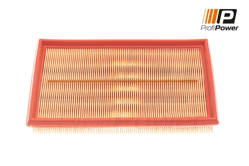 Filtre à air ProfiPower 2F0019