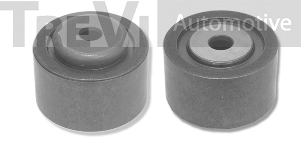 Poulie renvoi/transmission, courroie crantée TREVI AUTOMOTIVE TD1156