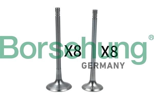 Soupape d'admission Borsehung B18634