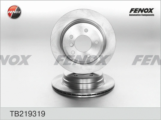Disque de frein FENOX TB219319