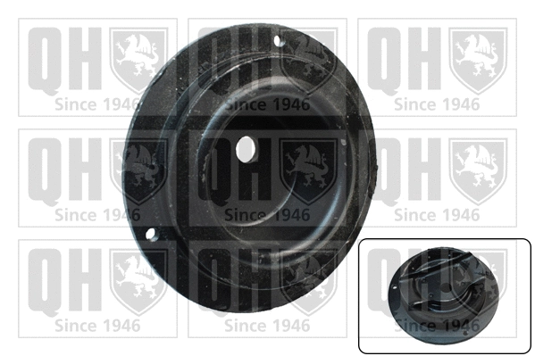Coupelle de suspension QUINTON HAZELL EMR2015