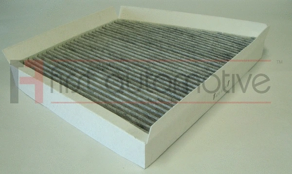 Filtre, air de l'habitacle 1A FIRST AUTOMOTIVE K30259