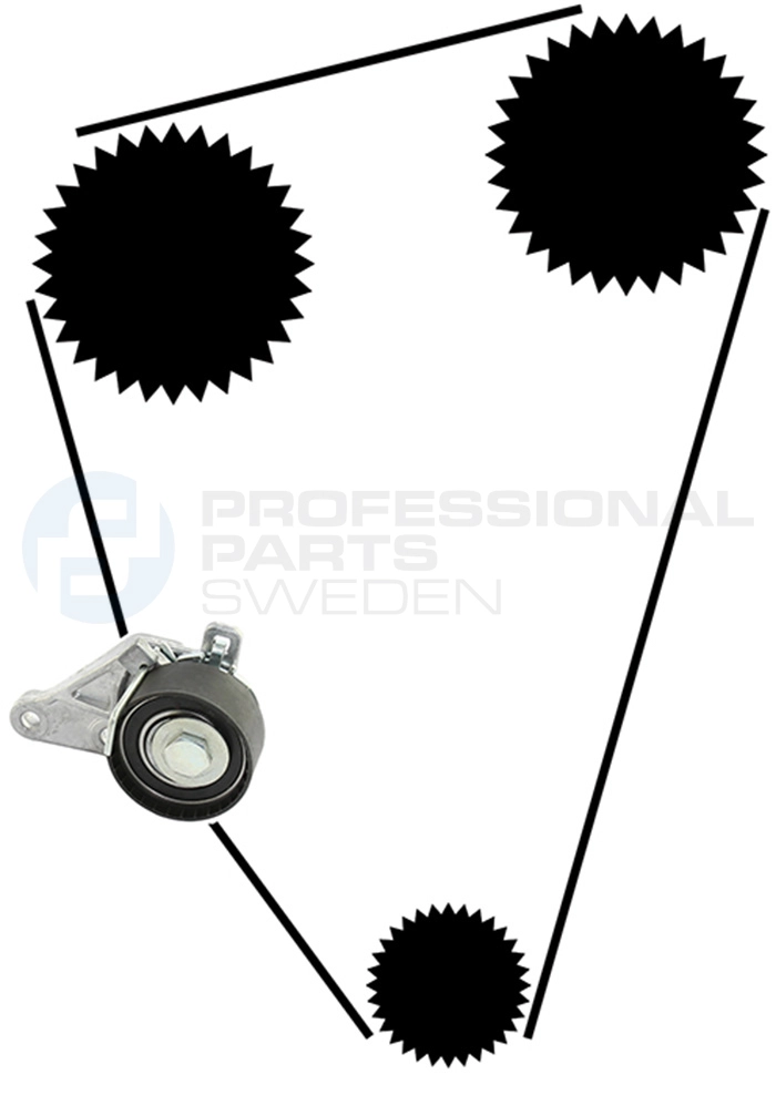 Kit de courroie crantée Professional Parts 21430032