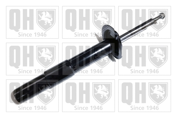 Amortisseur QUINTON HAZELL QAG181040