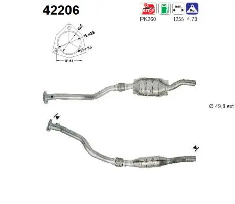 Catalyseur AS 42206