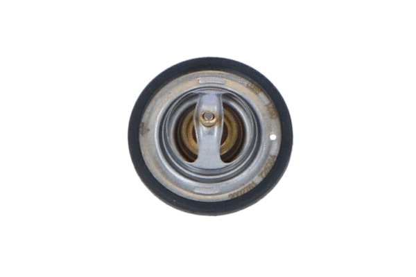 Thermostat, liquide de refroidissement WILMINK GROUP WG2184686