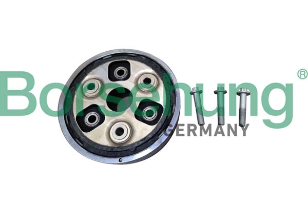 Joint, arbre de transmission Borsehung B10612