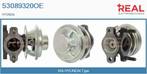 Vanne EGR REAL 53089320OE