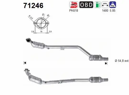 Catalyseur AS 71246