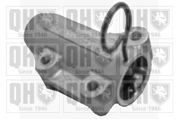 Amortisseur de vibrations, courroie crantée QUINTON HAZELL QTT1057