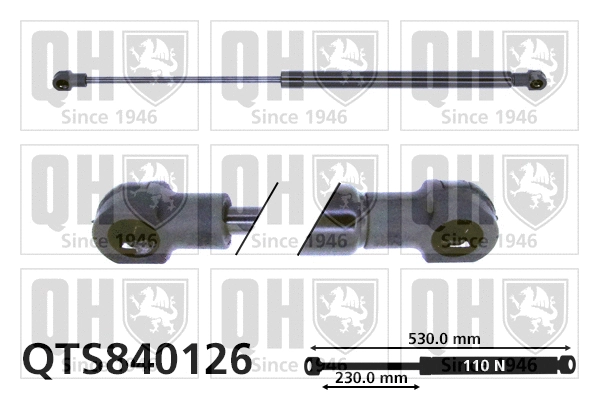 Vérin, vitre arrière QUINTON HAZELL QTS840126