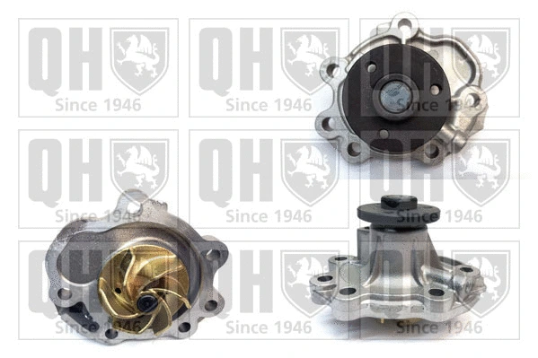 Pompe à eau, refroidissement du moteur QUINTON HAZELL QCP3956