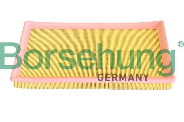 Filtre à air Borsehung B12293