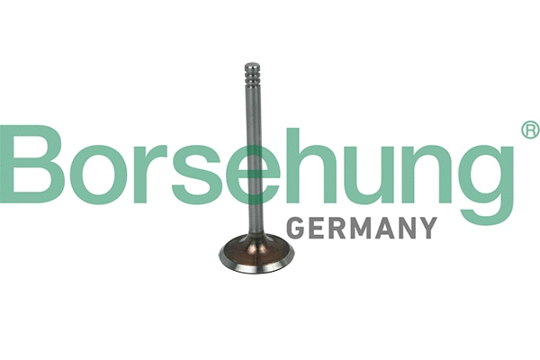 Soupape d'admission Borsehung B19030