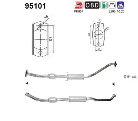Catalyseur AS 95101
