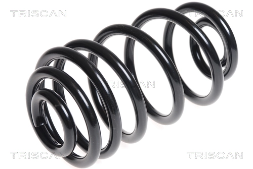 Ressort de suspension TRISCAN 8750 24168
