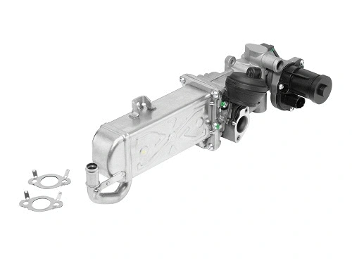 Module-EGR BorgWarner 710861R