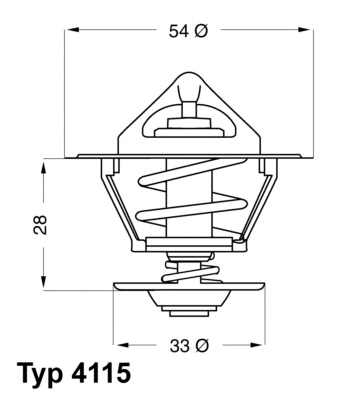 Thermostat, liquide de refroidissement BorgWarner (Wahler) 4115.92D