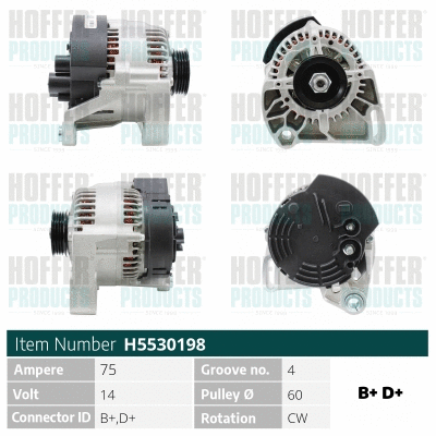 Alternateur HOFFER H5530198