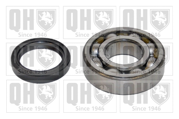 Kit de roulements de roue QUINTON HAZELL QWB193C