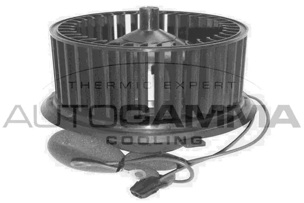 Pulseur d'air habitacle AUTOGAMMA GA31000