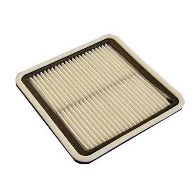 Filtre à air FI.BA FA-491