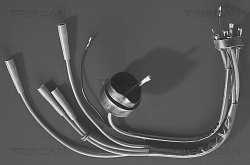 Kit de câbles d'allumage TRISCAN 8860 6203