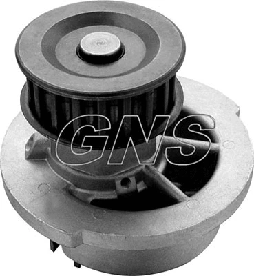 Pompe à eau, refroidissement du moteur GNS YH-DA107