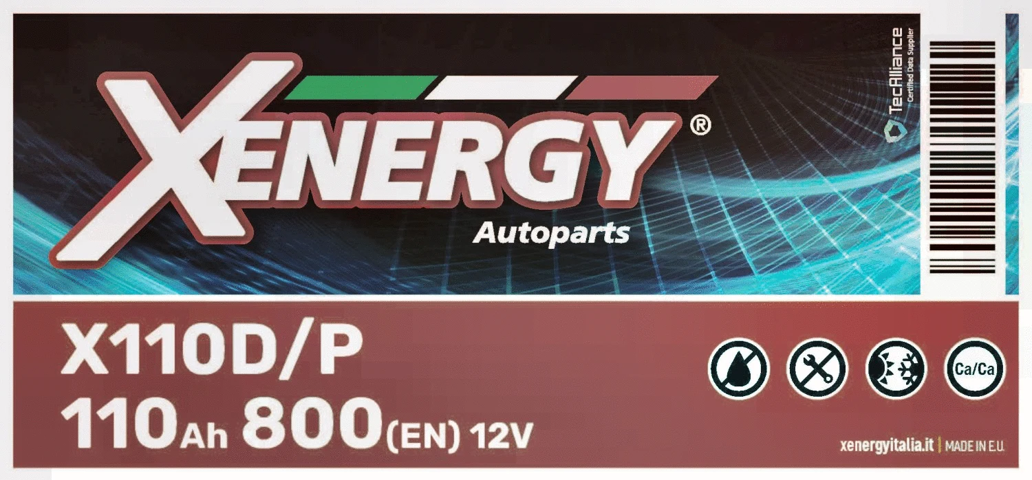 Batterie de démarrage AP XENERGY X110D/P