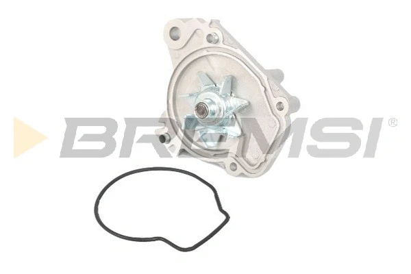 Pompe à eau, refroidissement du moteur BREMSI WP0198