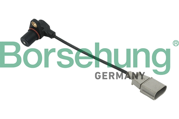 Capteur d'angle, vilebrequin Borsehung B13671